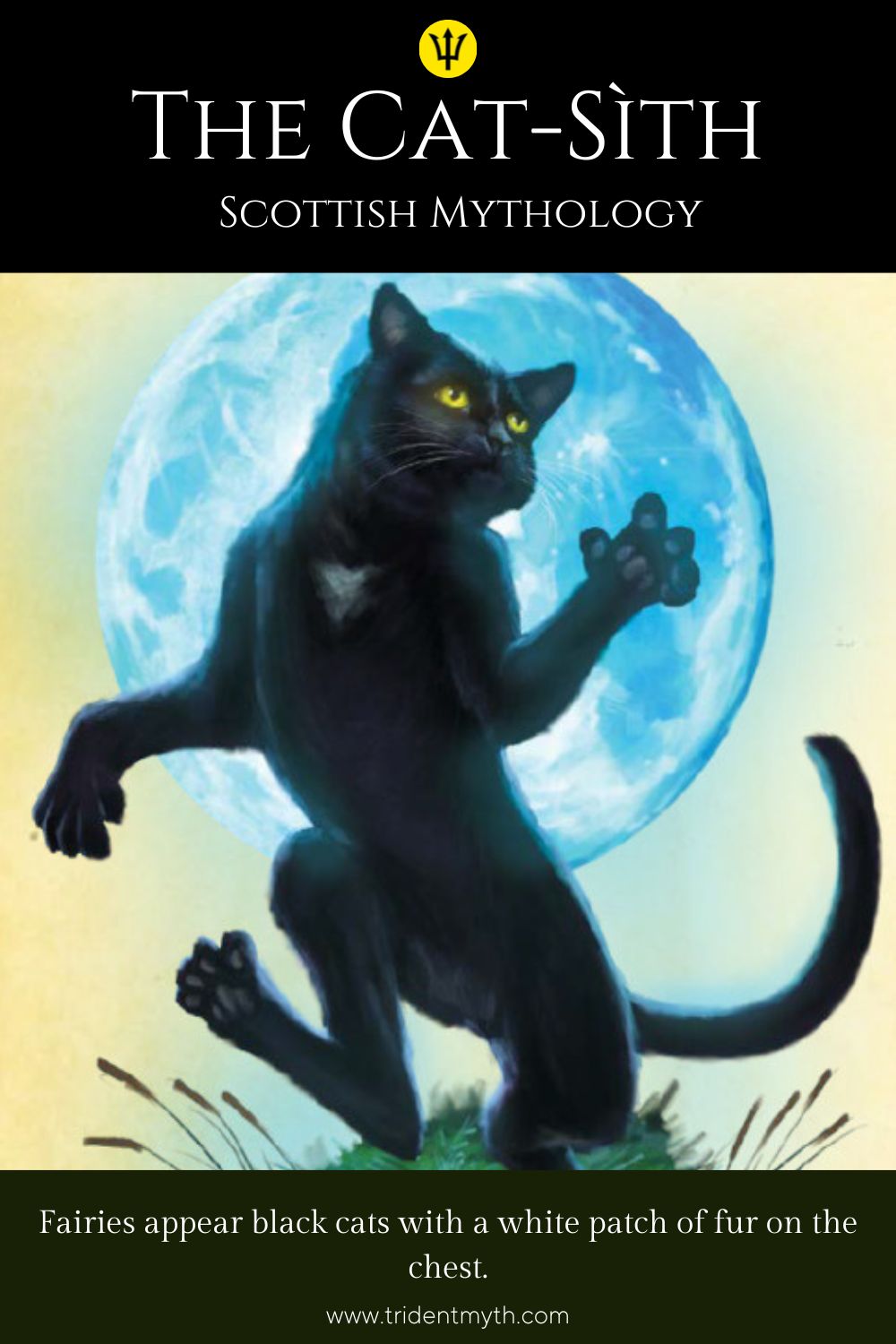 The Cat-Sìth: Scottish Fairies appear black cats with a white patch on the chest.